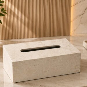 Aura Tissue Box